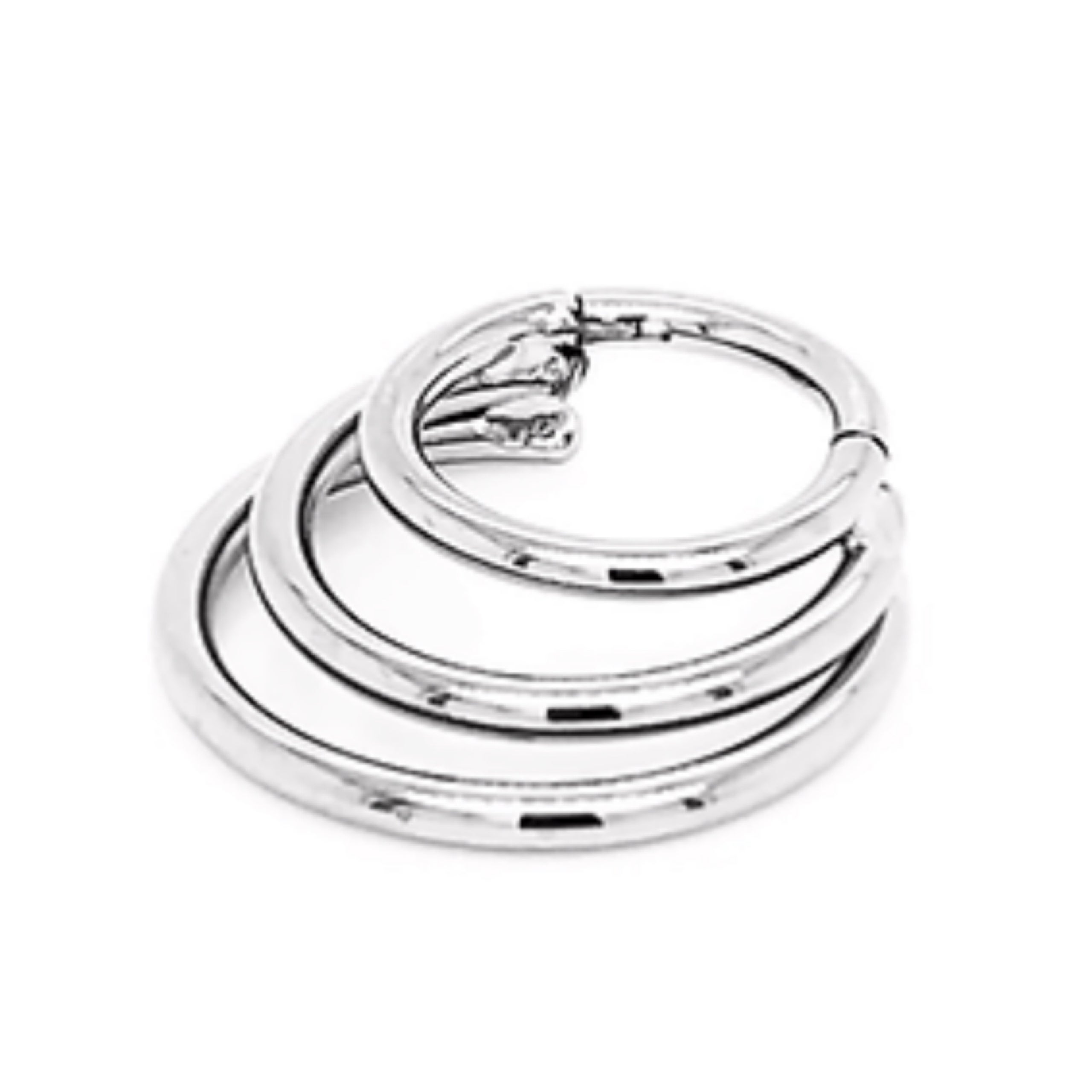 Titanium Crescent Triple Hinged Ring BeYoutiful Body Piercing